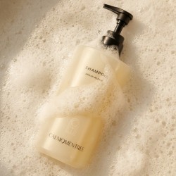 Calmomentree Morocco Argan Repair Shampoo 摩洛哥堅果洗頭水 500ml